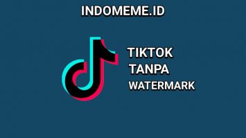 Download Video Tiktok Tanpa Logo
