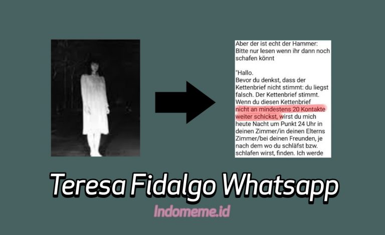 Teror Teresa Fidalgo Whatsapp