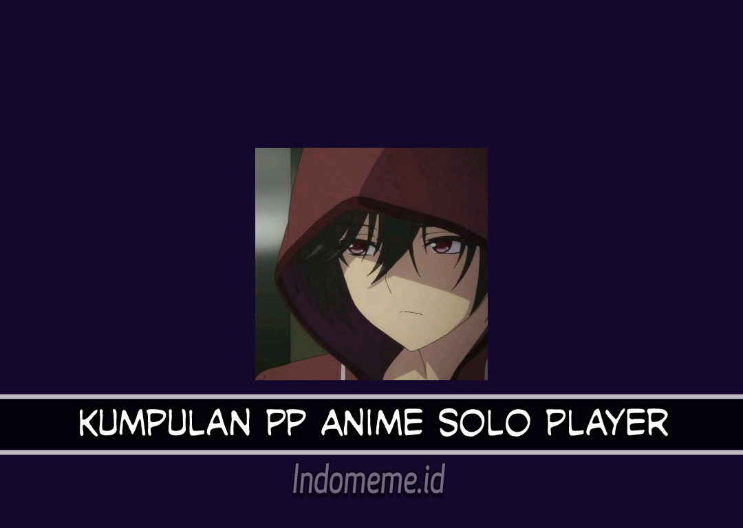 Kumpulan PP Anime Solo Player